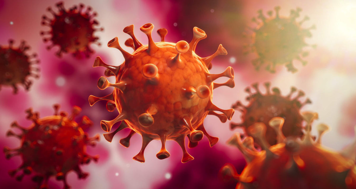 Coronavirus SARS-CoV-2
