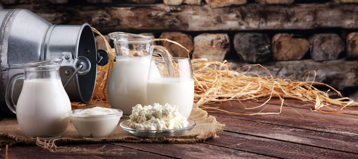 Laktoseintoleranz – Symptome, Ursachen & Behandlung